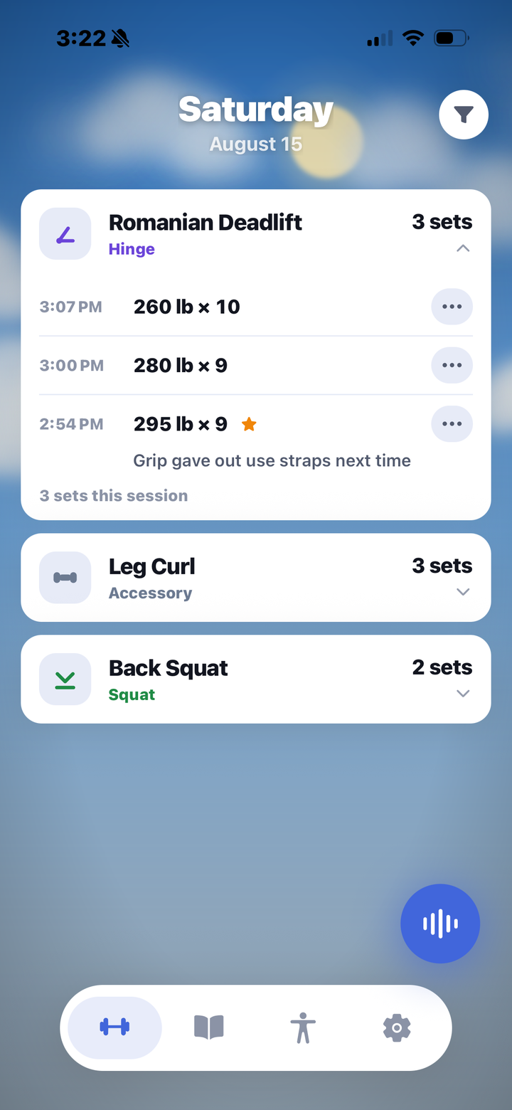 A day's sets, grouped by exercise